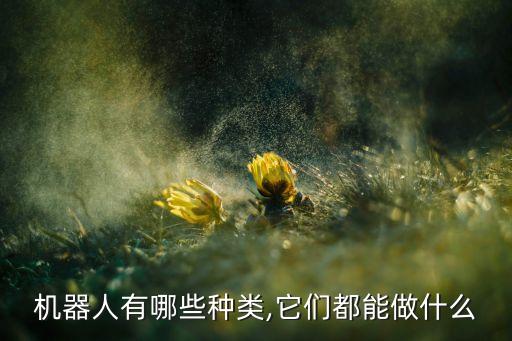 機器人有哪些種類,它們都能做什么