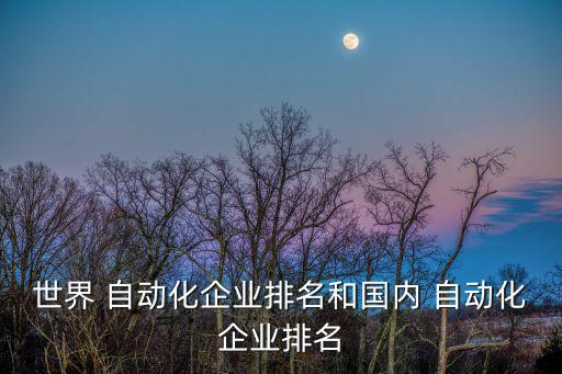 世界 自動(dòng)化企業(yè)排名和國內(nèi) 自動(dòng)化企業(yè)排名
