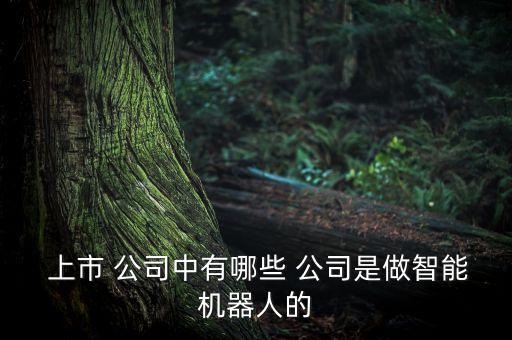  上市 公司中有哪些 公司是做智能機器人的