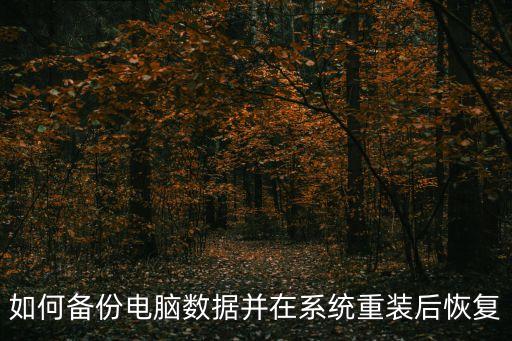 如何備份電腦數(shù)據(jù)并在系統(tǒng)重裝后恢復
