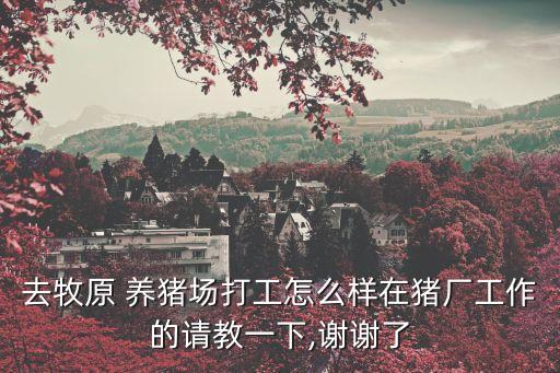 去牧原 養(yǎng)豬場打工怎么樣在豬廠工作的請教一下,謝謝了