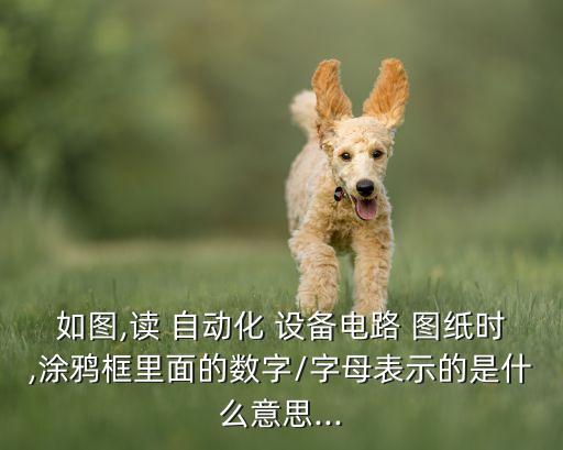 自動(dòng)化設(shè)備基礎(chǔ)知識(shí)圖紙,設(shè)備圖紙入門基礎(chǔ)知識(shí)