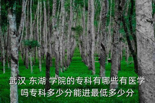 東湖學(xué)院自動(dòng)化專業(yè)錄取線,武漢東湖學(xué)院錄取線2022