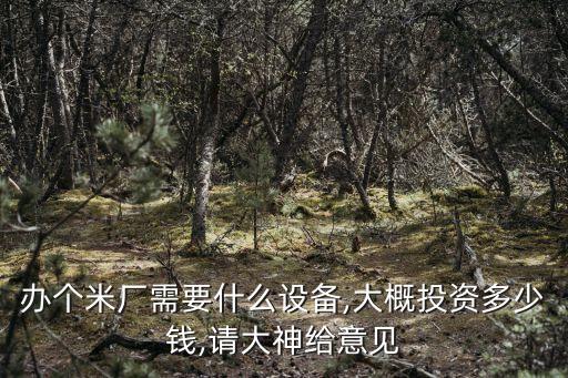 辦個米廠需要什么設(shè)備,大概投資多少錢,請大神給意見