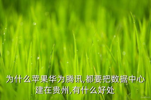 為什么蘋果華為騰訊,都要把數(shù)據(jù)中心建在貴州,有什么好處