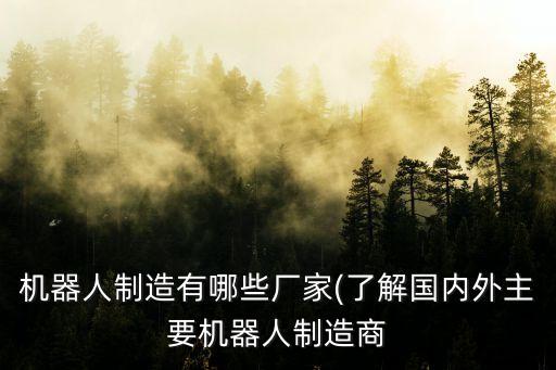 機器人制造有哪些廠家(了解國內外主要機器人制造商