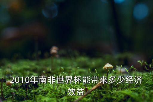 2010年南非世界杯能帶來多少經(jīng)濟(jì)效益