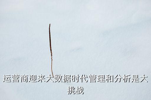 中國電信數(shù)據(jù)分析,中國電信股票深度分析:太多文字了