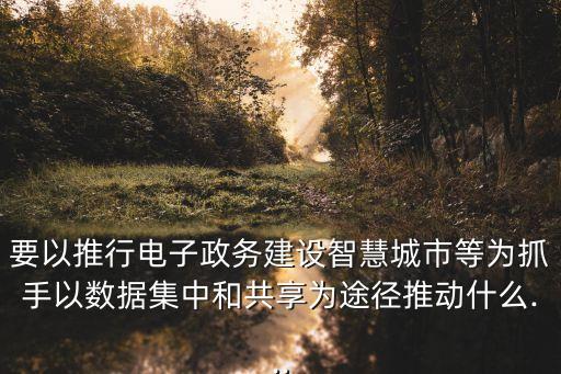 要以推行電子政務(wù)建設(shè)智慧城市等為抓手以數(shù)據(jù)集中和共享為途徑推動(dòng)什么...
