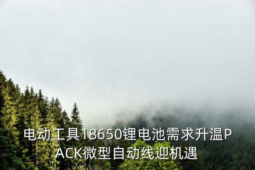 電動(dòng)工具18650鋰電池需求升溫PACK微型自動(dòng)線迎機(jī)遇