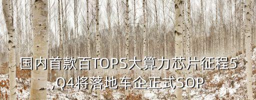 地平線 自動(dòng)駕駛算法,大算力比拼芯片是世界杯決賽?