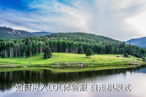 英雄聯(lián)盟自走棋,云頂之弈