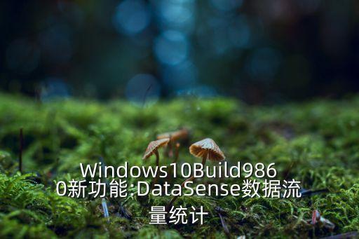 數(shù)據(jù)流量統(tǒng)計方案,移動公司怎么統(tǒng)計數(shù)據(jù)?