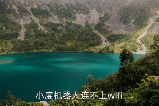 百度機(jī)器人小度服務(wù)器,小度機(jī)器人怎么關(guān)閉現(xiàn)在可以設(shè)置!