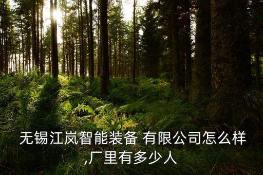  無錫江嵐智能裝備 有限公司怎么樣,廠里有多少人