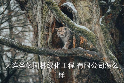 大連圣億園林綠化工程 有限公司怎么樣