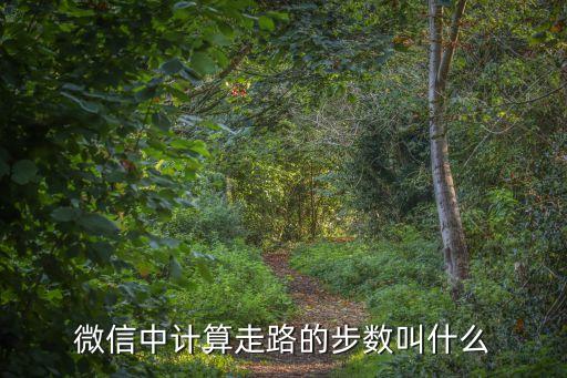 行走數(shù)據(jù)來源,微信運動與華為運動健康數(shù)據(jù)來源怎么設置?