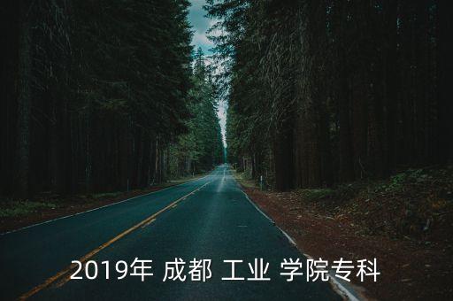 2019年 成都 工業(yè) 學(xué)院?？? class=