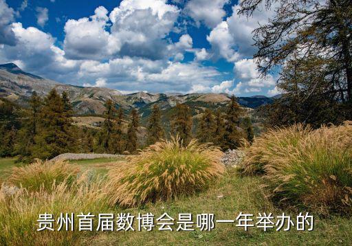 貴陽(yáng)大數(shù)據(jù)博覽會(huì)時(shí)間,2020年貴陽(yáng)數(shù)博會(huì)介紹