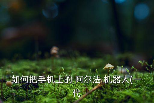 如何把手機上的 阿爾法 機器人(一代