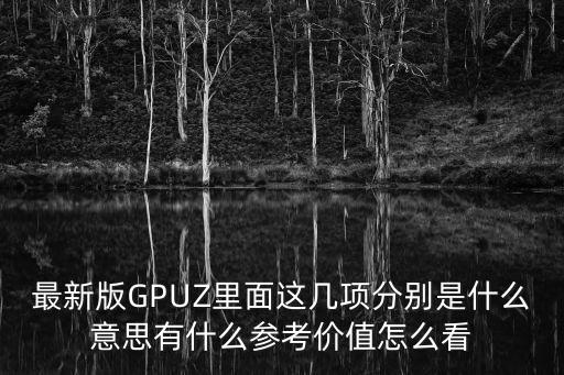 最新版GPUZ里面這幾項分別是什么意思有什么參考價值怎么看