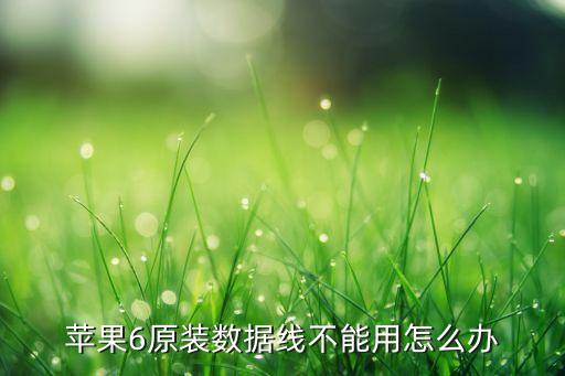 蘋果6原裝數(shù)據(jù)線不能用怎么辦