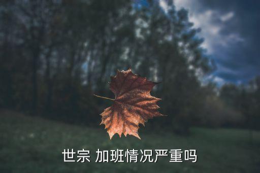 自動化加班設(shè)備,廣東超音速自動化加班嗎