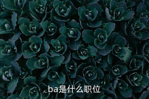 51獵頭數(shù)據(jù)模型,人力資源戰(zhàn)略與規(guī)劃自考復(fù)習(xí)資料模擬題