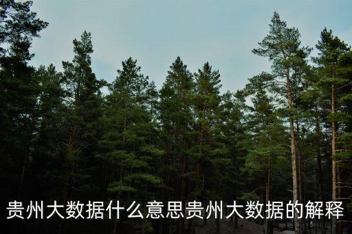貴州大數(shù)據(jù)什么意思貴州大數(shù)據(jù)的解釋