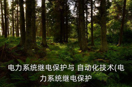 電力系統(tǒng)繼電保護(hù)與 自動化技術(shù)(電力系統(tǒng)繼電保護(hù)