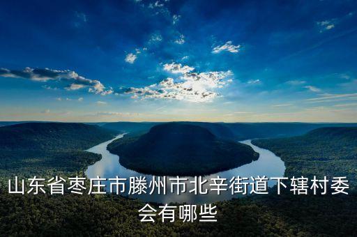 山東省棗莊市滕州市北辛街道下轄村委會有哪些