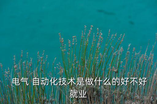 關(guān)于電氣自動化視頻,電氣自動化網(wǎng)絡(luò)教學視頻