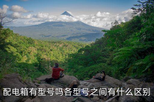 配電箱有型號(hào)嗎各型號(hào)之間有什么區(qū)別