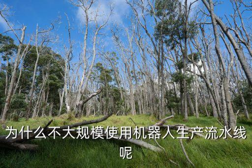 為什么不大規(guī)模使用機器人生產(chǎn)流水線呢