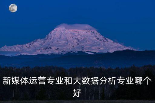 新媒體運營專業(yè)和大數(shù)據(jù)分析專業(yè)哪個好