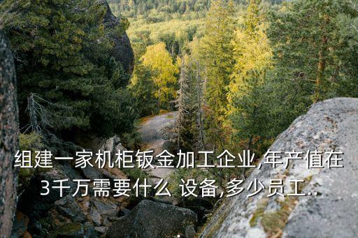 組建一家機(jī)柜鈑金加工企業(yè),年產(chǎn)值在3千萬(wàn)需要什么 設(shè)備,多少員工...