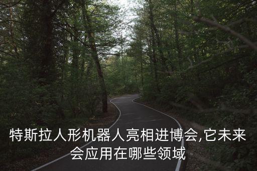 特斯拉人形機(jī)器人亮相進(jìn)博會,它未來會應(yīng)用在哪些領(lǐng)域