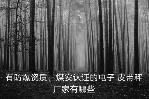 自動化皮帶稱生產(chǎn)公司