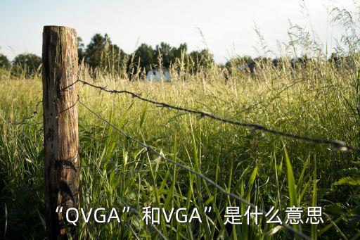 vga是什么意思,顯示屏vga是什么意思一種顯示器接口