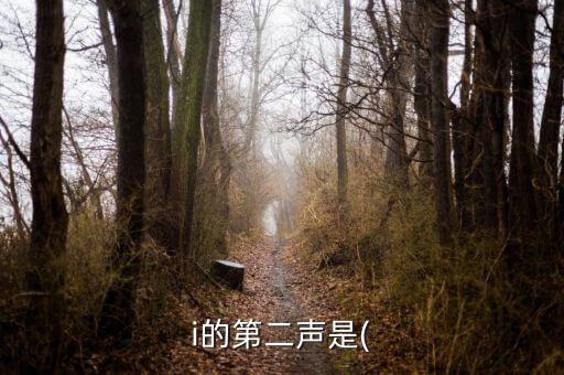 i的第二聲是(