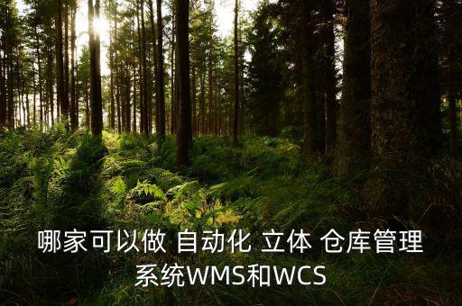 哪家可以做 自動化 立體 倉庫管理系統(tǒng)WMS和WCS