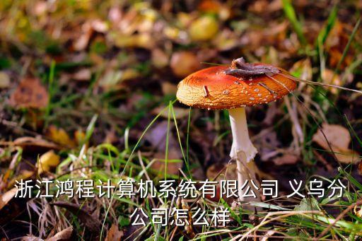 浙江鴻程計(jì)算機(jī)系統(tǒng)有限公司 義烏分公司怎么樣