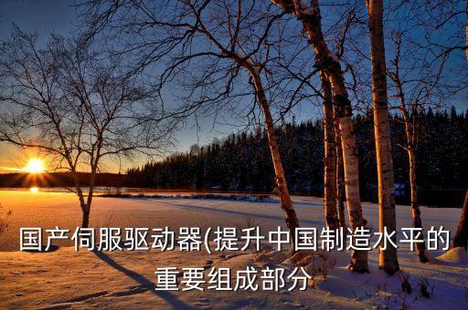 國(guó)產(chǎn)伺服驅(qū)動(dòng)器(提升中國(guó)制造水平的重要組成部分