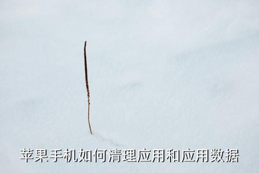蘋果清楚軟件數(shù)據(jù),怎么刪除軟件緩存數(shù)據(jù)?