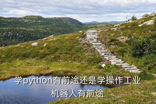 學(xué)python有前途還是學(xué)操作工業(yè)機(jī)器人有前途