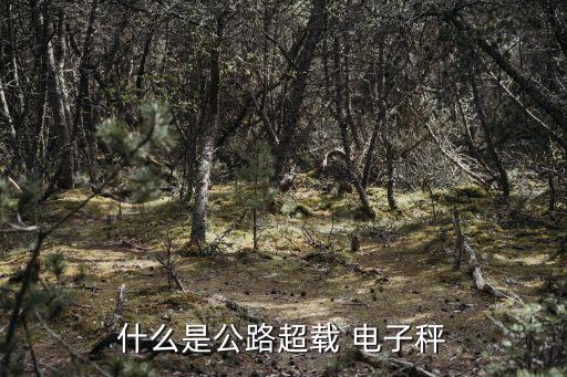 電子秤數(shù)據(jù)傳到服務(wù)器,如何將電子秤的數(shù)據(jù)傳到手機上