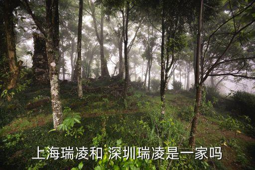 深圳電焊焊接自動化公司