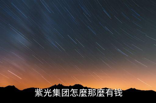  紫光集團(tuán)怎麼那麼有錢