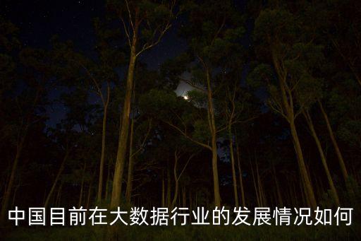 中國目前在大數(shù)據(jù)行業(yè)的發(fā)展情況如何