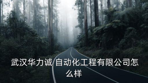  武漢華力誠 自動化工程有限公司怎么樣